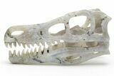 Carved Labradorite Dinosaur Skull #218491-1